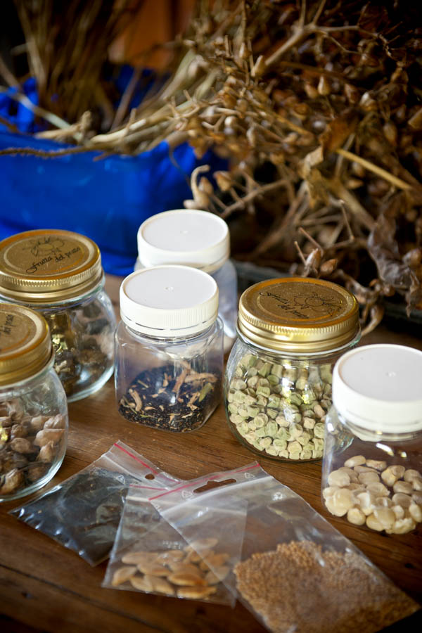 Harvest quality seeds from your vege patch this year - it's all the currency you need to source great seeds from your next seed swap.(© All Rights Reserved)