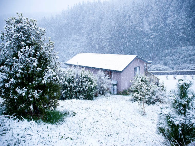 Only a light dusting of snow can turn any scene into a winter wonderland.(© All Rights Reserved)