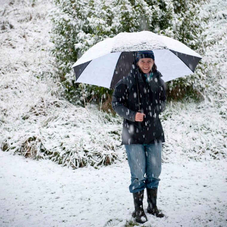 Rain! They said it was going to RAIN! (© All Rights Reserved)