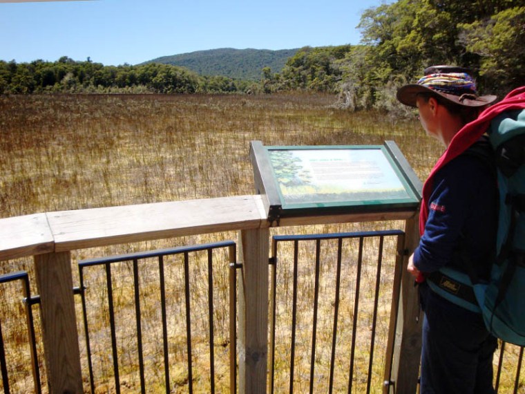 A wetland, dominated by wire rush and sphagnum moss, between Lake Manapouri and Lake Te Anau in the Southern Otago region in New Zealand. The unique wetlands in the Te Anau area were used for the 'Dead Marshes' scene in Sir Peter Jackson's Lord of the Rings movie.(© All Rights Reserved)