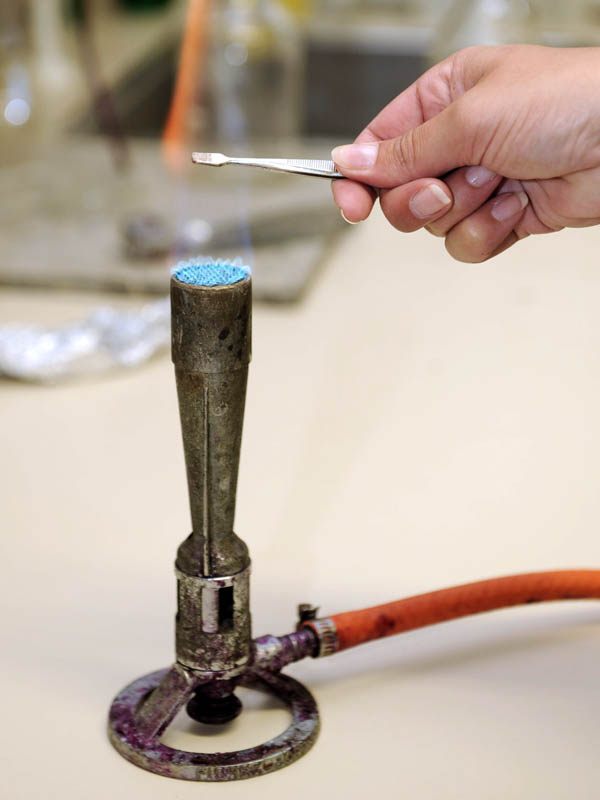 In addition to heating chemicals, the intense flame of a Bunsen burner can also be used to sterilise laboratory tools.(© All Rights Reserved)