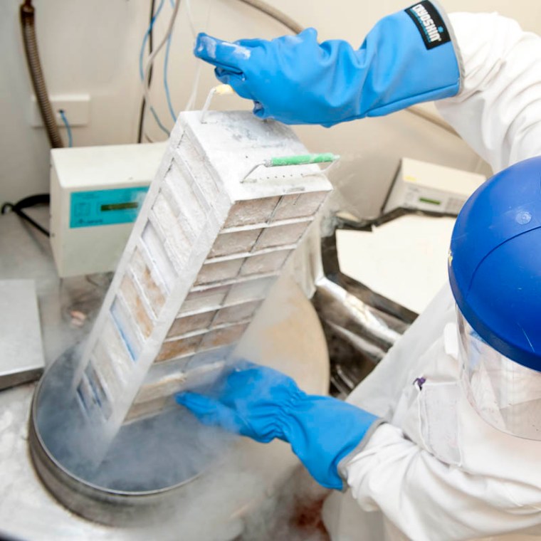 I have no idea how frozen air would look, but it will surely be very, very chilly!(© All Rights Reserved)