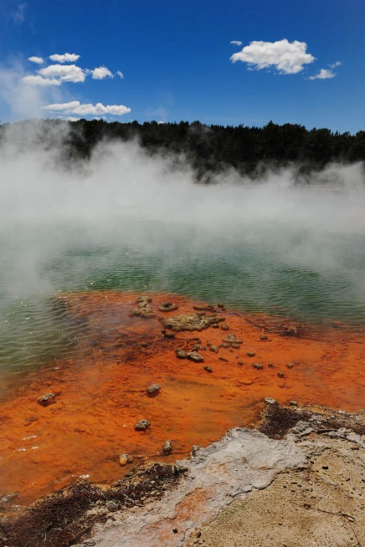 In my minds eye I've always imagined primordial soup as a rather ominous-looking pond of bubbling and steaming chemical liquid, very much like the thermal geysers at Rotorua, New Zealand. (© All Rights Reserved)