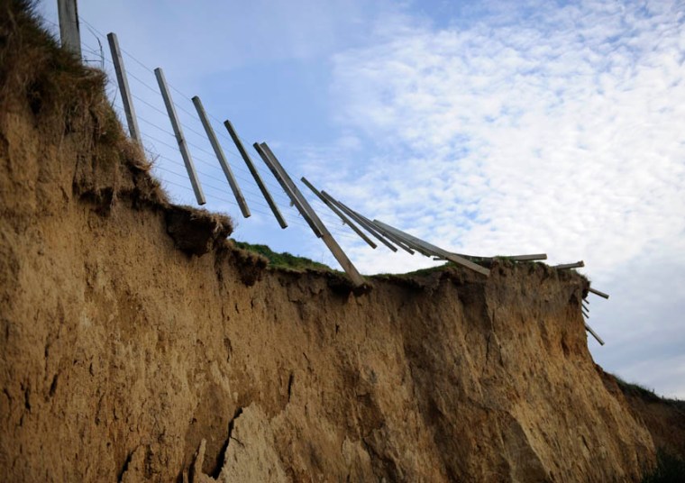 (© All Rights Reserved)