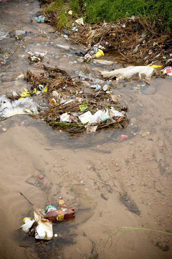 We have met the enemy, and he is us. (© All Rights Reserved)