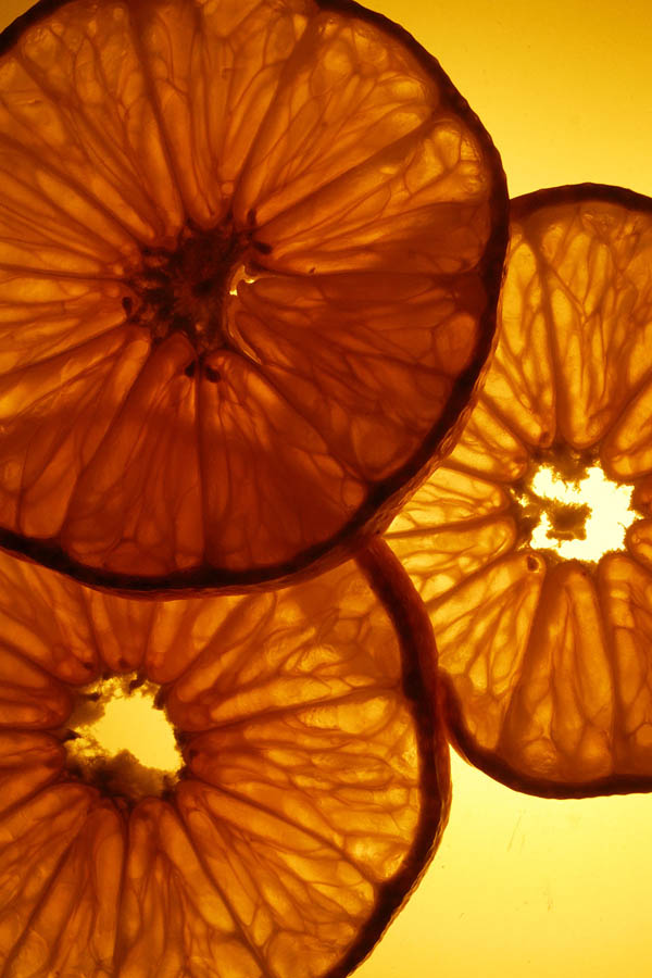 Citrus fruit is full of scurvy-fighting Vitamin C. (© All Rights Reserved)