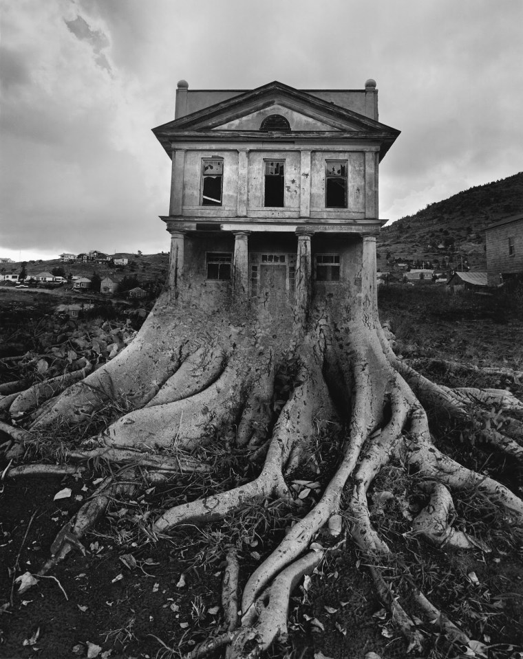 Untitled (Tree House), by Jerry Uelsmann, 1982. It is quite unbelievable to think that Uelsmann's photo montages were done using film negatives in the darkroom, without any modern digital processing.