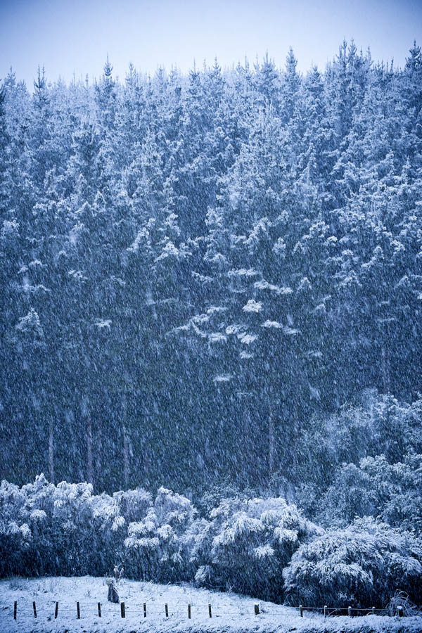 A chilly winter solstice down south. (© All Rights Reserved)